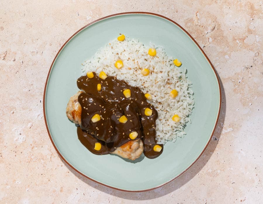 Pollo al mole con arroz